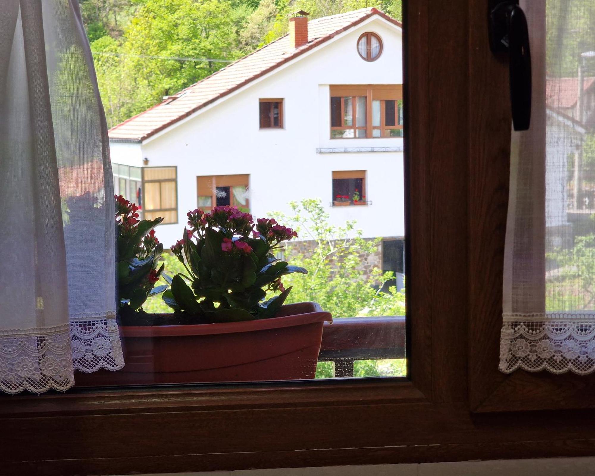Apartamentos Remona Espinama Kültér fotó